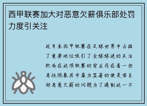 西甲联赛加大对恶意欠薪俱乐部处罚力度引关注 西甲联赛加大对恶意欠薪俱乐部处罚力度引关注